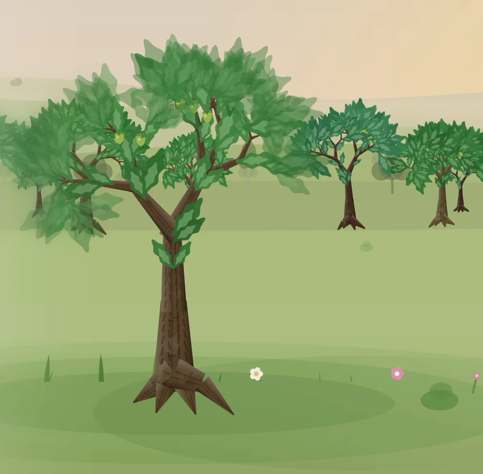 A young tree growing in a sunlit grove, with a forest behind it